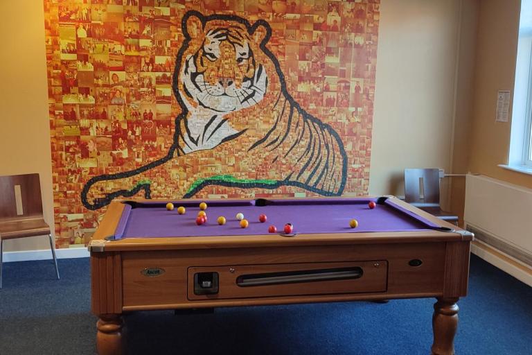 Image with the game room with a pool table standing in front of a tiger mural