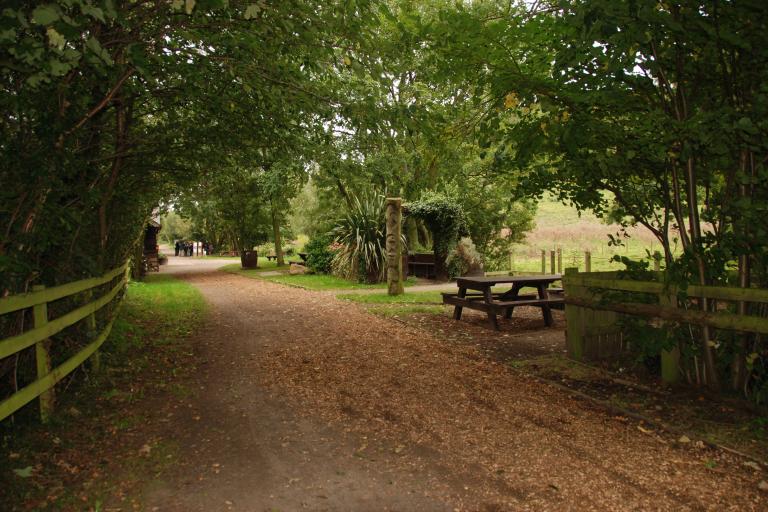 Image with the main alleyway in the Guisborough Forest and Walkway surrounded by trees.