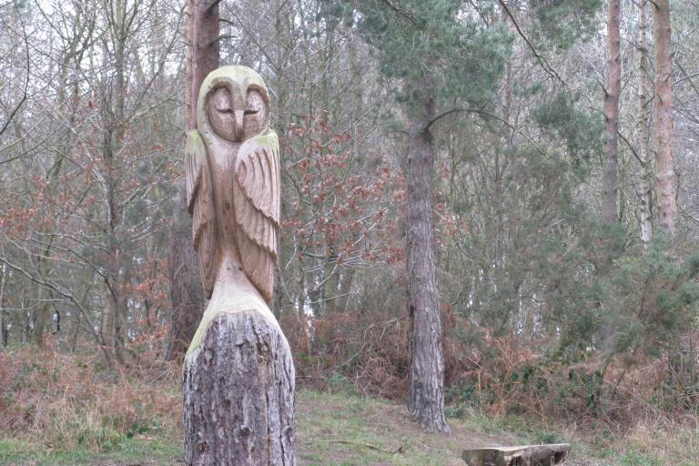 Image of a wooden statue depicting an owl in Errington Woods