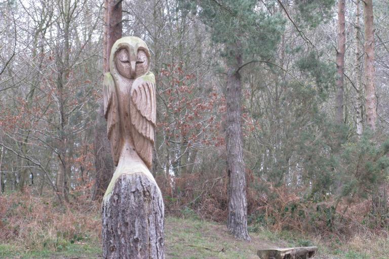 Owl wooden statue in Errington Woods