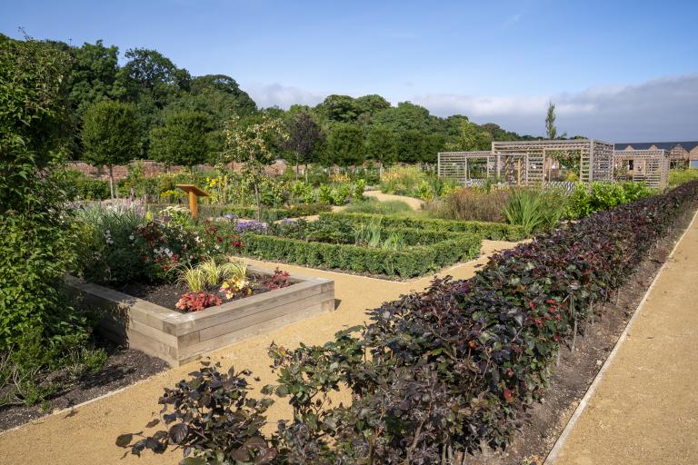 Image of Kirkleatham Walled Garden in bloom