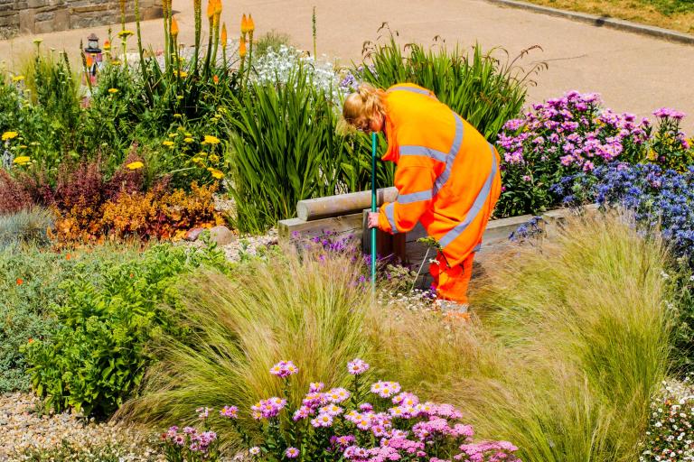 A lady dressed in orange overalls gardening in the Marske Valley Gardens.
