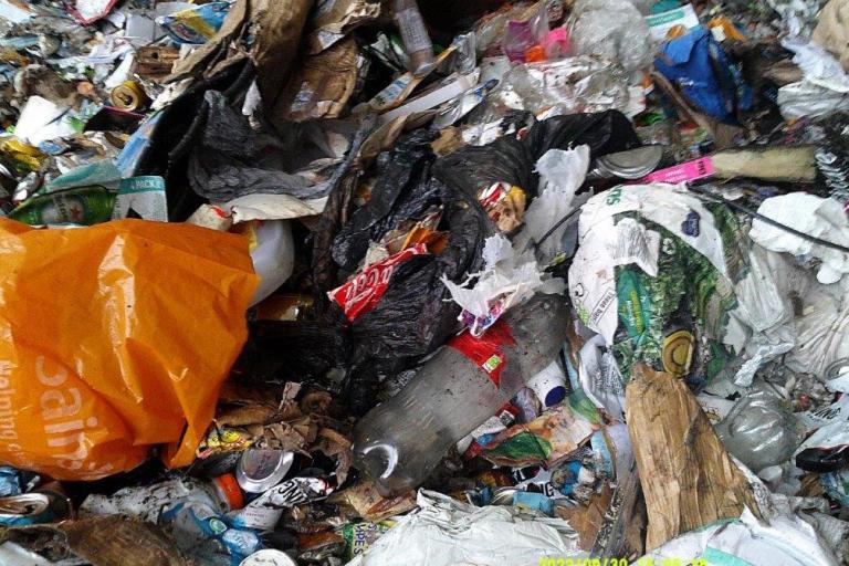 Image of a recycling load contaminated with food and carrier bags.