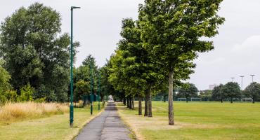 Eston Recreation Grounds trees