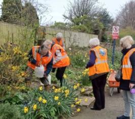Image of volunteers from Nunthorpe. The volunteers are wearing orange hi-vis jackets and are tending to various plants and shrubs.