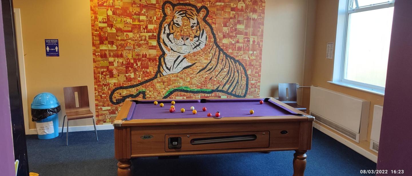 Image with the game room with a pool table standing in front of a tiger mural