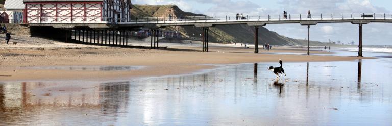 Image of saltburn beach with a black and white dog running in the background